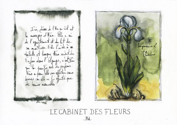 010-Bdesmettre