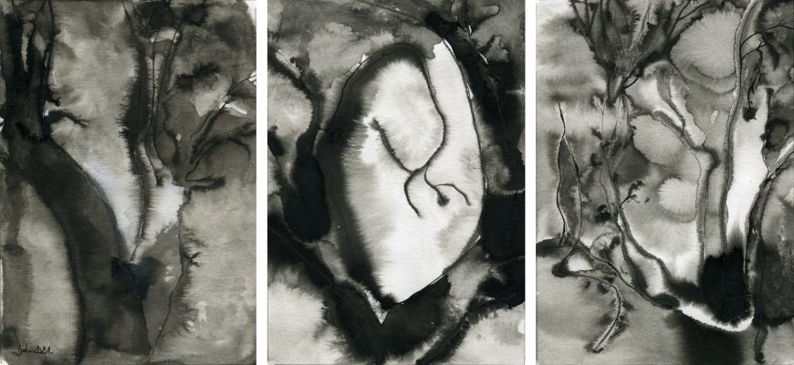 017-Bdesmettre.